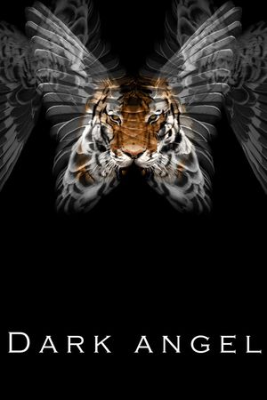 翅膀印花华亿平台图片