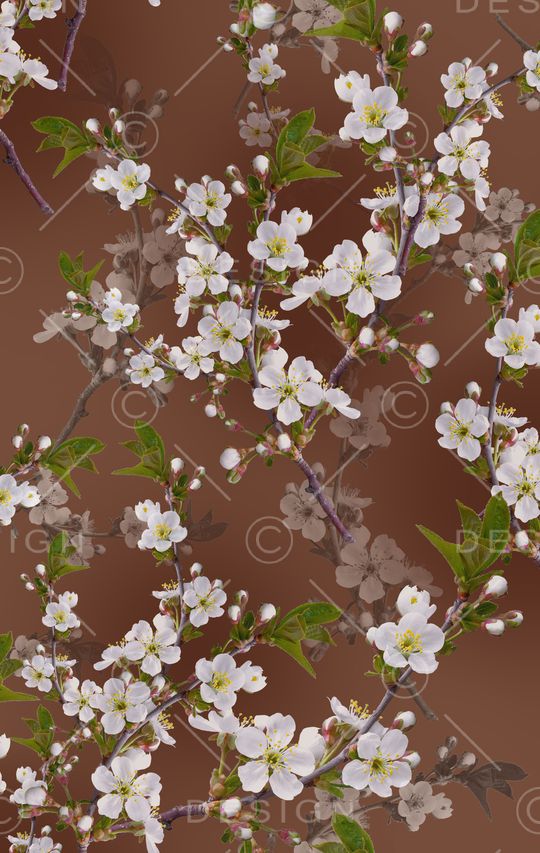 彩底花卉印花华亿平台图片