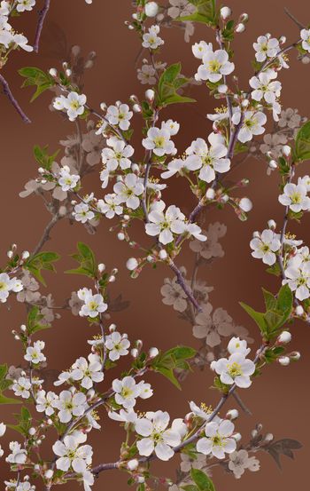 彩底花卉印花华亿平台图片