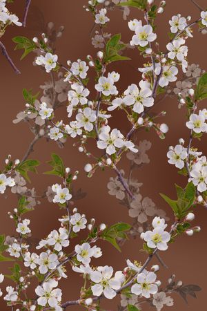 彩底花卉印花华亿平台图片