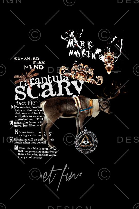 动物印花华亿平台图片