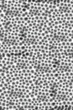 圆形印花华亿平台图片