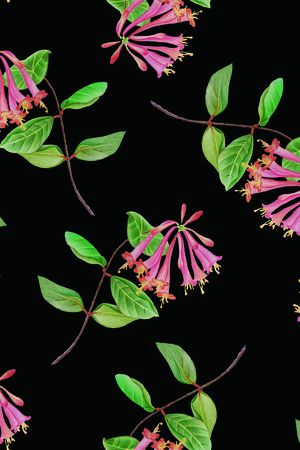 绿植树叶印花华亿平台图片