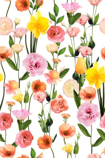 1302535-2020-03-08-A1