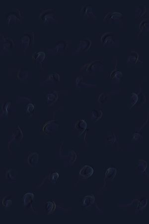 豹纹印花华亿平台图片