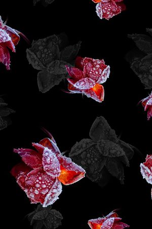 女装印花华亿平台图片