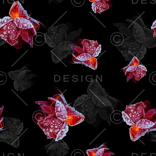 女装印花华亿平台图片