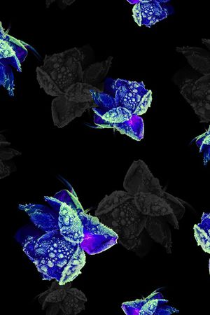 女装印花华亿平台图片