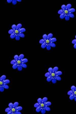 女装印花华亿平台图片