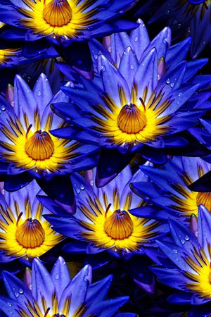 女装印花华亿平台图片