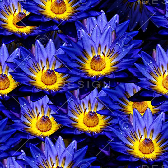 女装印花华亿平台图片