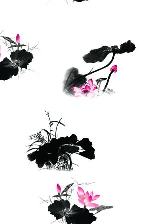 荷花印花华亿平台图片