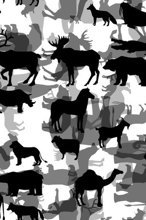 黑白华亿平台印花华亿平台图片