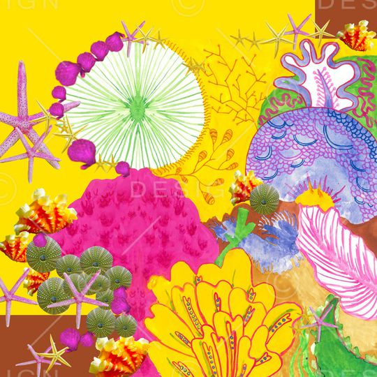 撞色印花华亿平台图片