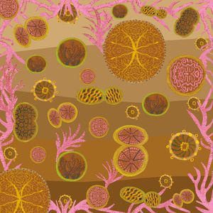 方巾印花华亿平台图片