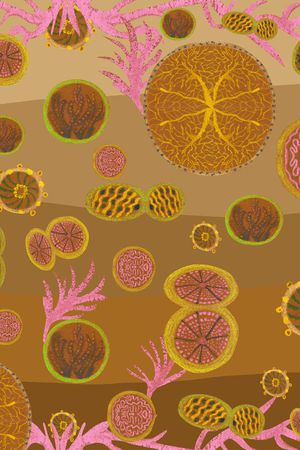 方巾印花华亿平台图片