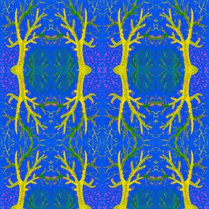 撞色印花华亿平台图片