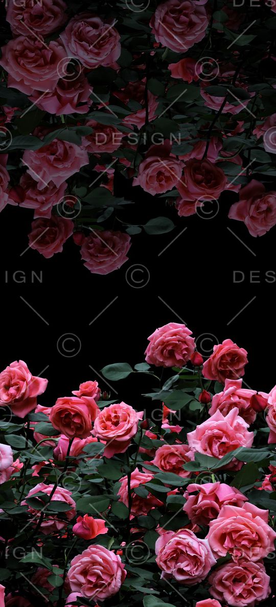 女装印花华亿平台图片