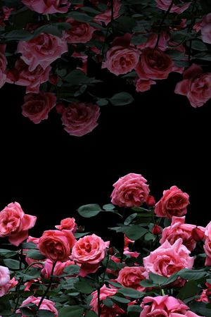 女装印花华亿平台图片