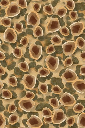 豹纹印花华亿平台图片