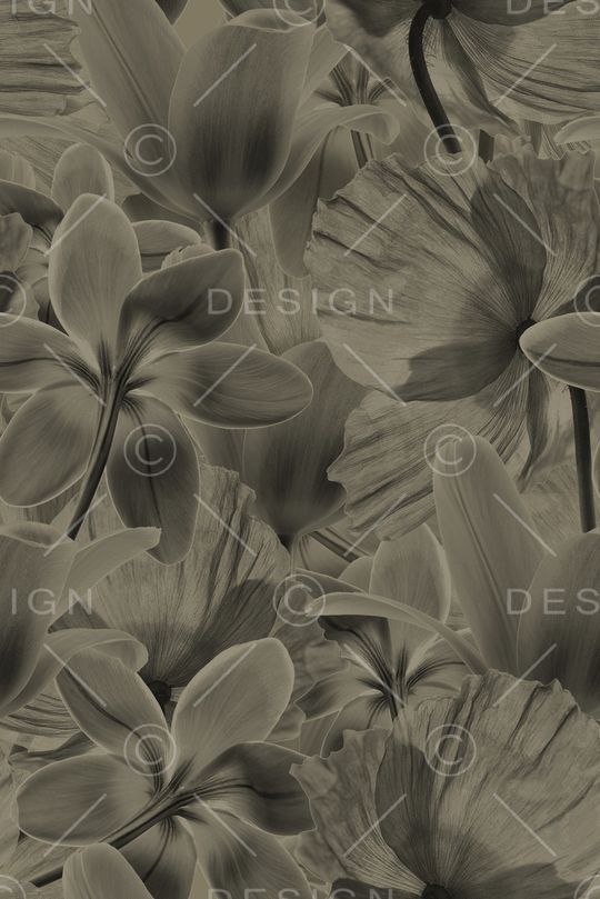 大牌男装印花华亿平台图片