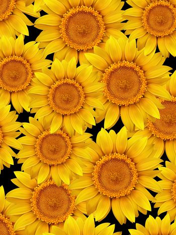 黑底花卉印花华亿平台图片