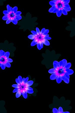 女装印花华亿平台图片