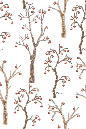 水果印花华亿平台图片