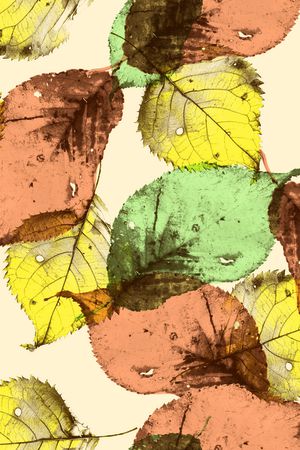 肌理印花华亿平台图片