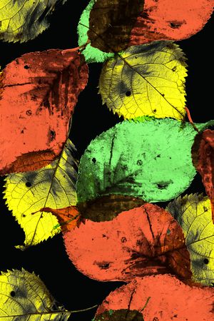 肌理印花华亿平台图片