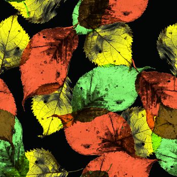 1304414-20200312-1-1