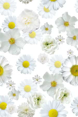 女装印花华亿平台图片