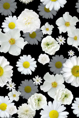 女装印花华亿平台图片