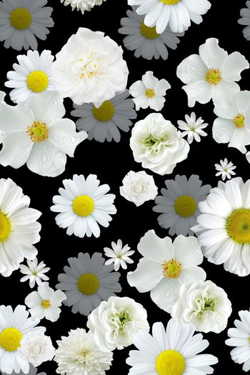 1304578-2020-03-12-B1