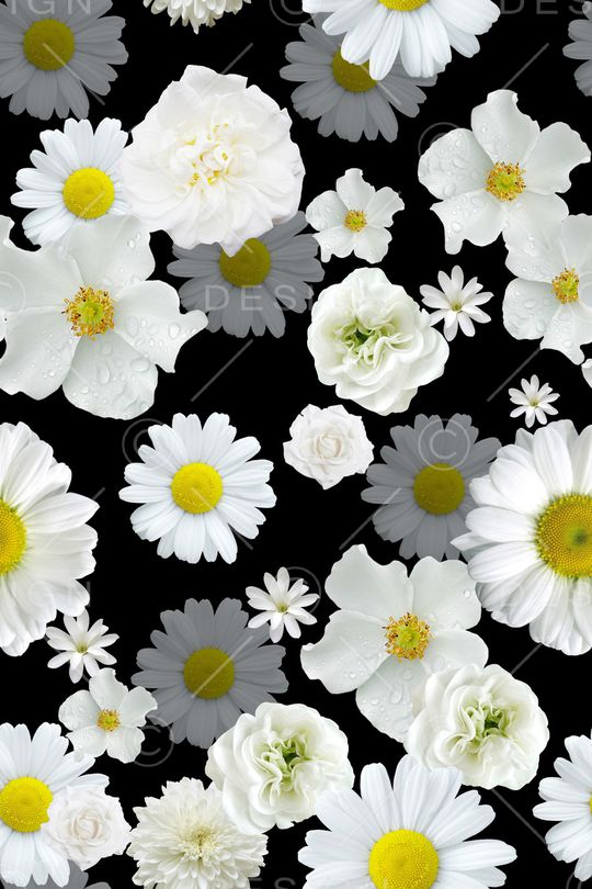 女装印花华亿平台图片