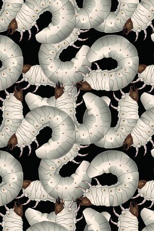 动物印花华亿平台图片