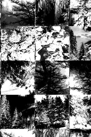 树印花华亿平台图片