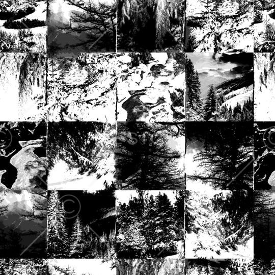 树印花华亿平台图片