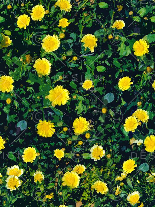 彩底花卉印花华亿平台图片