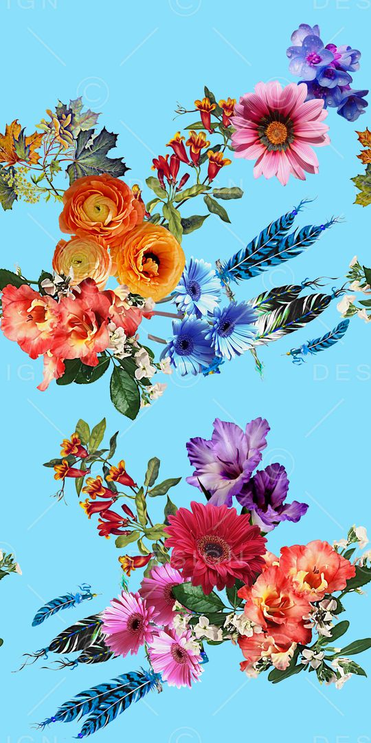 羽毛印花华亿平台图片