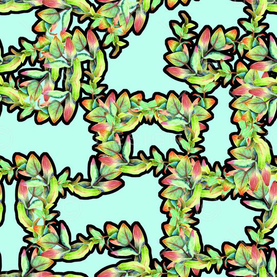 女装印花华亿平台图片