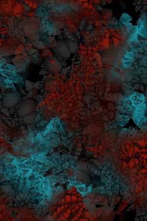 女装印花华亿平台图片