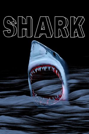 鲨鱼印花华亿平台图片