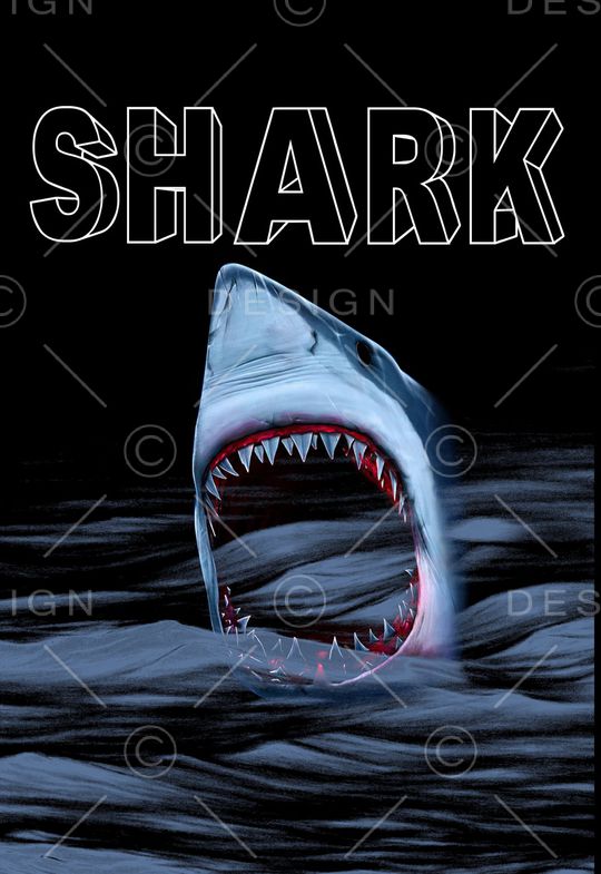 鲨鱼印花华亿平台图片