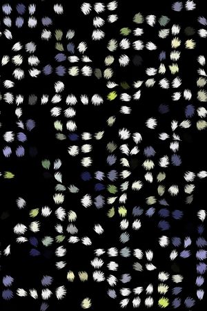 豹纹印花华亿平台图片