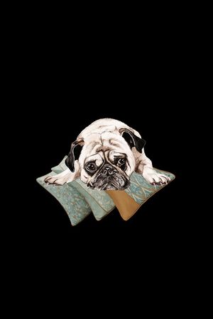 时尚印花华亿平台图片