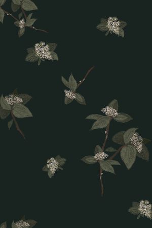 简约印花华亿平台图片