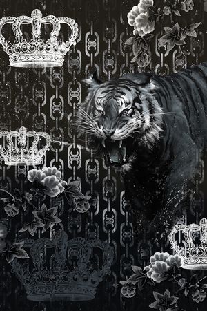 珠宝宝石印花华亿平台图片