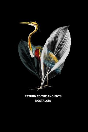 鸟印花华亿平台图片