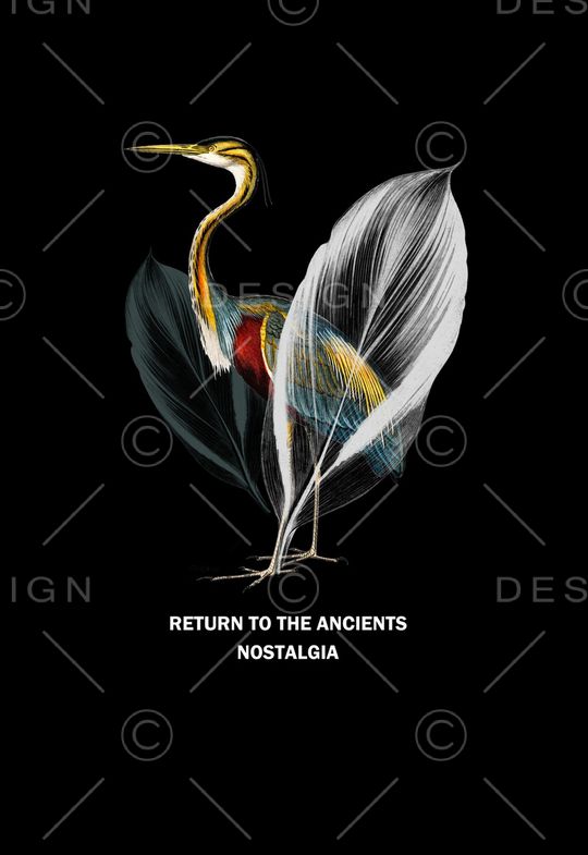 鸟印花华亿平台图片